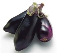 Eggplant