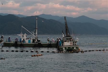 椎名大敷漁