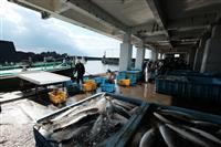 Fishing Port