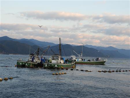 椎名大敷漁