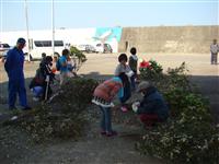 Preparing the Trees/Logs