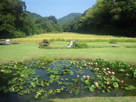 Nakayama Zouen