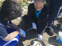 Tying Weights onto Branches