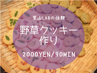 Wild Herb Cookies (\2000/90 min.)